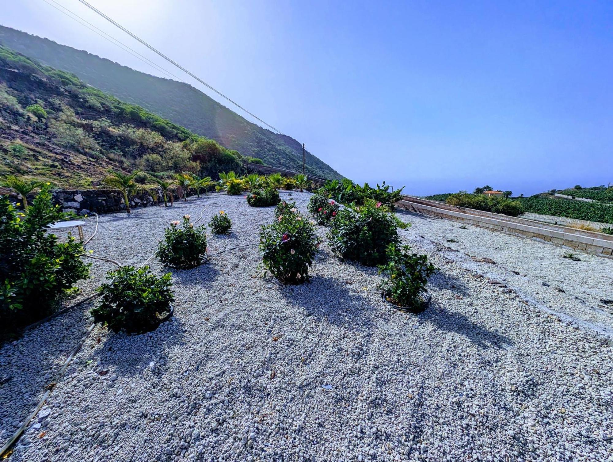 Cliff Haven Sea View Apartment - Adults Only Santiago del Teide المظهر الخارجي الصورة